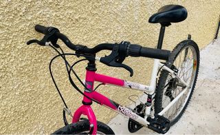 Bicicleta Boomerang adulto