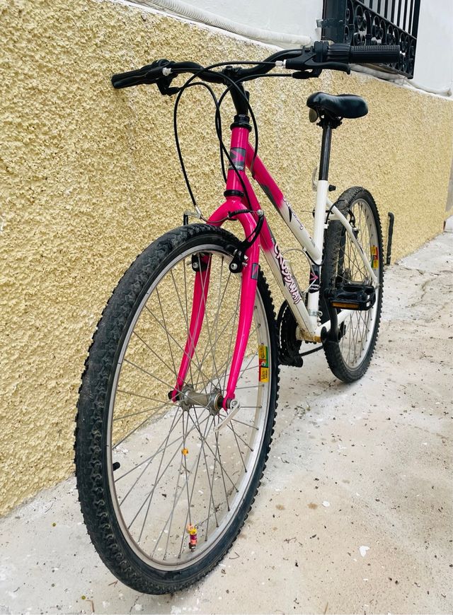Bicicleta Boomerang adulto