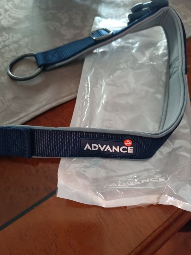 Collar ADVANCE para perro - Azul y Gris