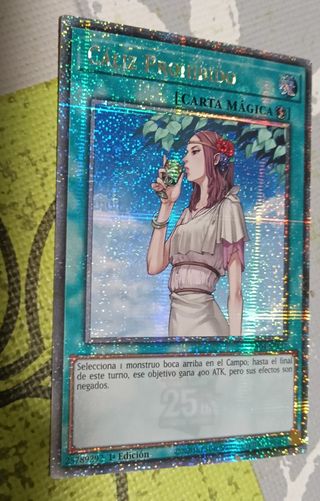 Domadora 25th más otras cartas quarter century