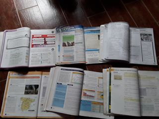 Lote Libros Texto 4 eso