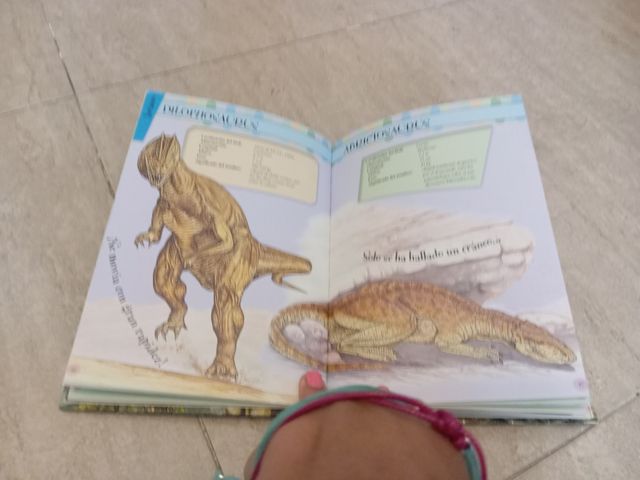 Descubre los dinosaurios