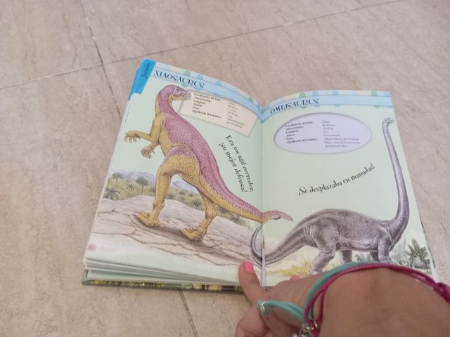 Descubre los dinosaurios