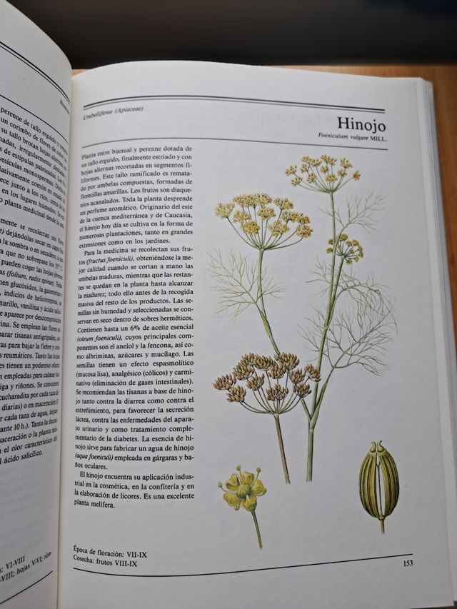 El Gran Libro De Las plantas mediciales..
