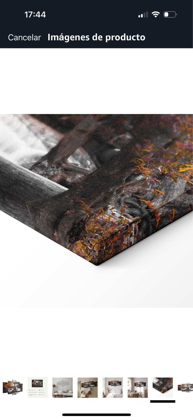 Lienzo Buda 5 piezas - Decoración