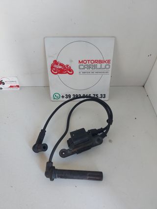 Bobina accensione Multistrada 1200 38040101C