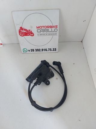 Bobina accensione Multistrada 1200 38040101C