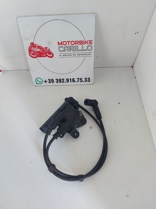 Bobina accensione Multistrada 1200 38040101C