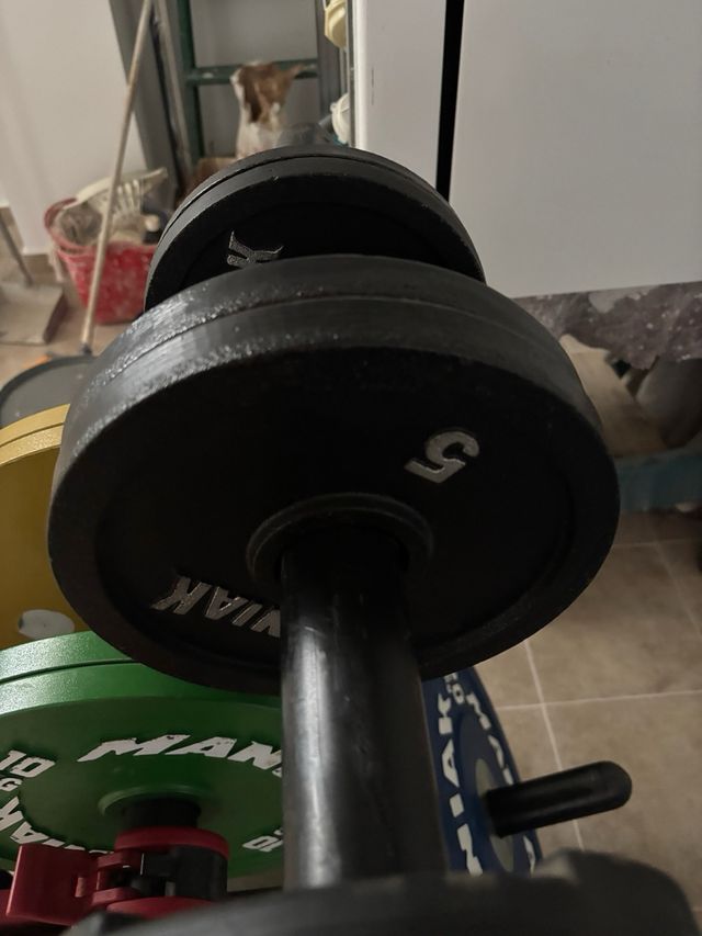 lote maniak gimnasio . Discos ,bastidor y banco