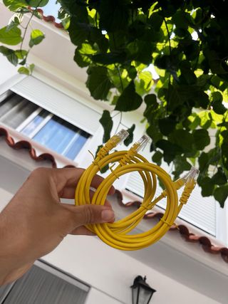 Cables Ethernet amarillos