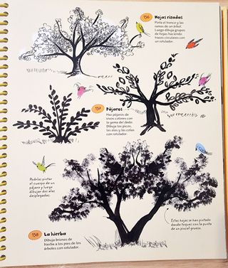 365 Proyectos Para Dibujar Y Pintar