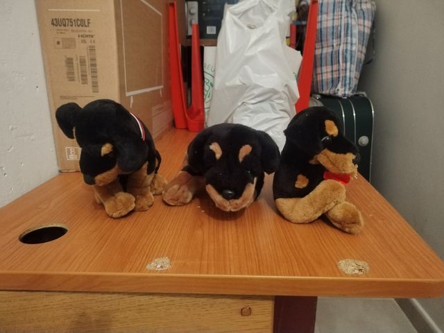 3 Peluches Rottweiler