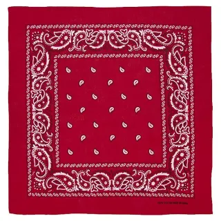 Sombrero Cowboy Vaquero Western Pañuelo Adulto