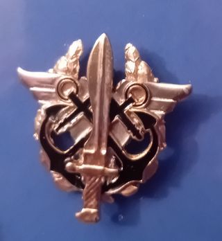 Insignia unidad naval fuerzas  especiales