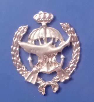Insignia naval combate: plateada