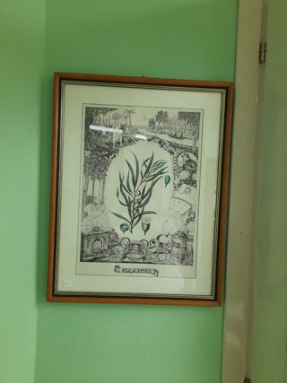 Stampa Eucalipto cornice legno