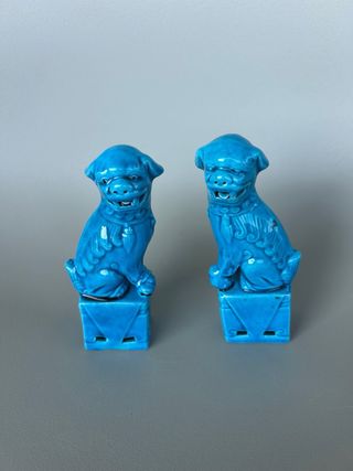 coppia leoni cani di foo