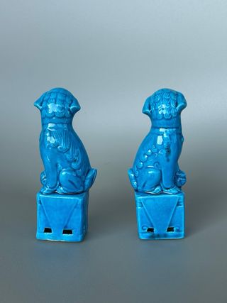 coppia leoni cani di foo