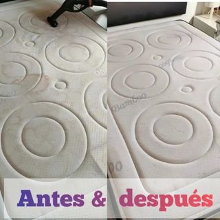 Tapinet albacete limpieza de tapicerías