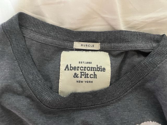 Camiseta Abercrombie & Fitch Gris