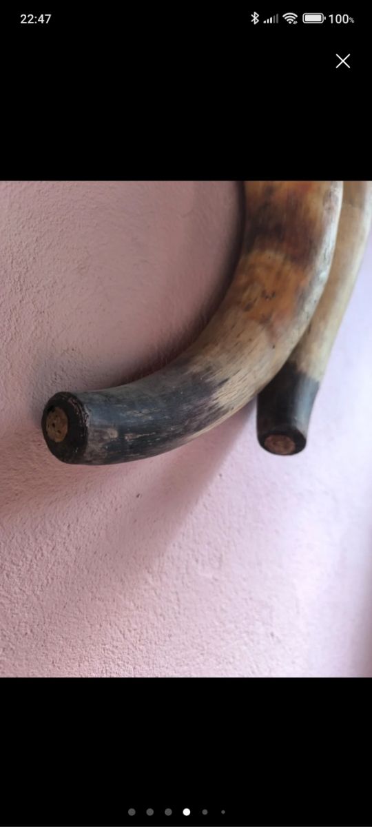 2 Vinagreras antiguas Arte Pastoril