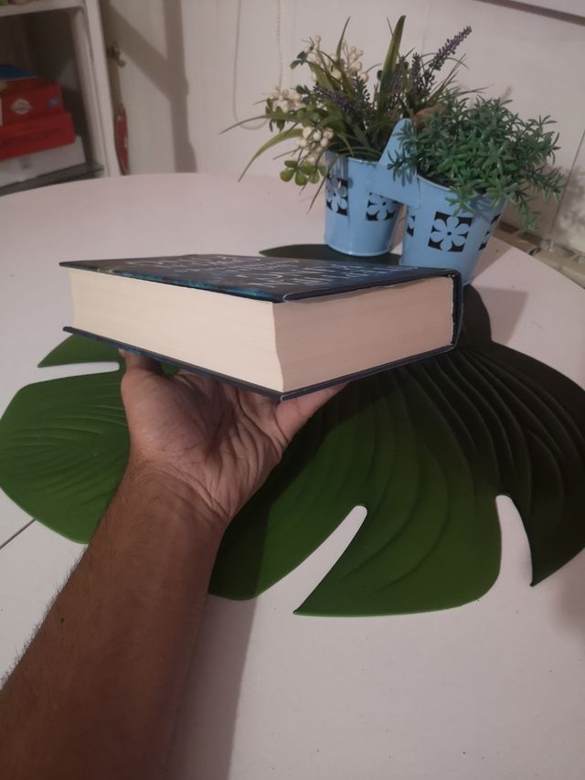 Bellas durmientes Stephen King 