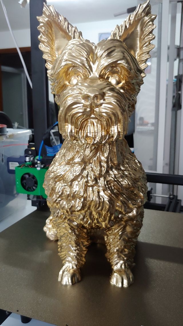 Statua Cane Yorkshire Dorata