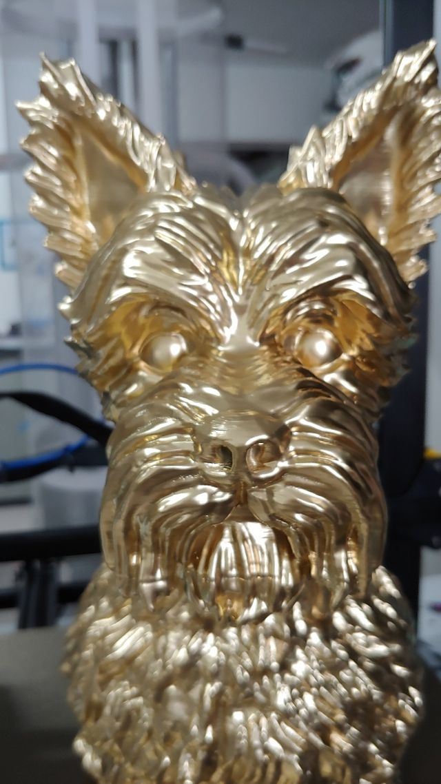 Statua Cane Yorkshire Dorata