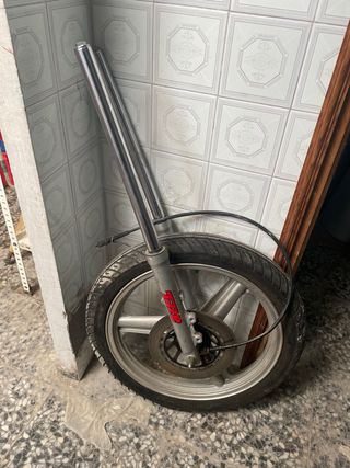 Horquilla y rueda delantera