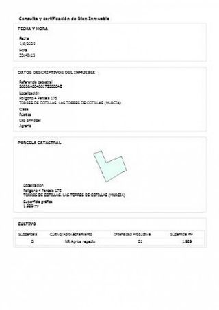 Terreno en venta en Torres de Cotillas (Las)