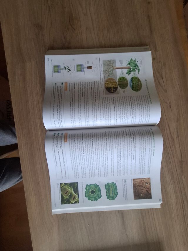 Inicia Biología y Geología 1.º Bachillerato. Li...