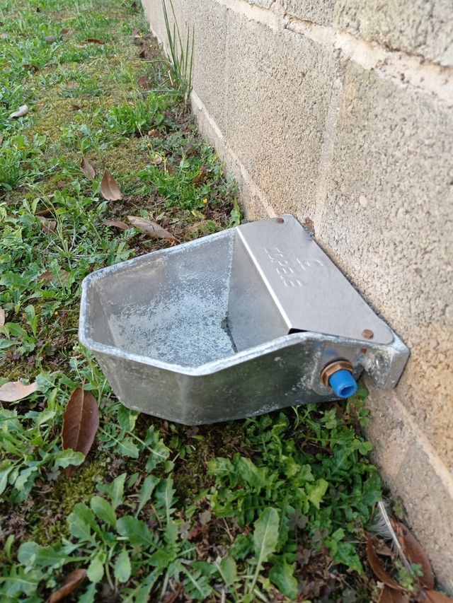 Bebedero animales - Comedero metálico