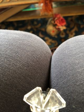 Due deliziosi uccellini Searovski