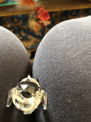 Due deliziosi uccellini Searovski