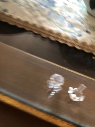 Due deliziosi uccellini Searovski