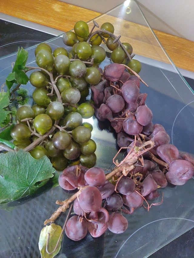 URGE pongotodo, Plato vidrio + uvas decorativas