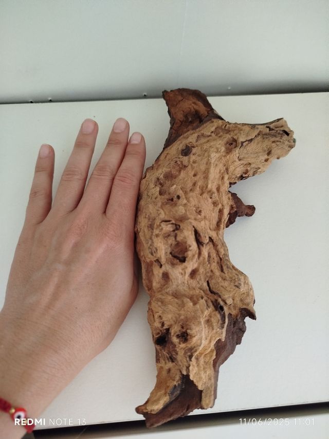 Madera Decorativa Terrario