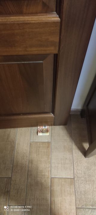 Bloccaporta finto denaro 50€