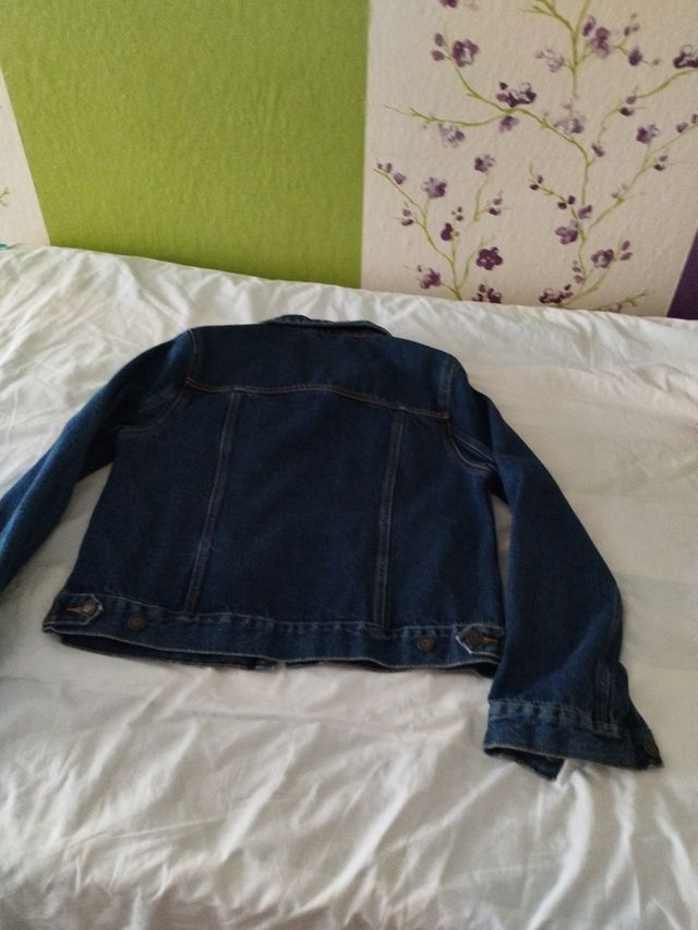 Cazadora vaquera Schmidt Workwear