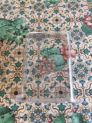 Contenitore Trasparente in Plastica