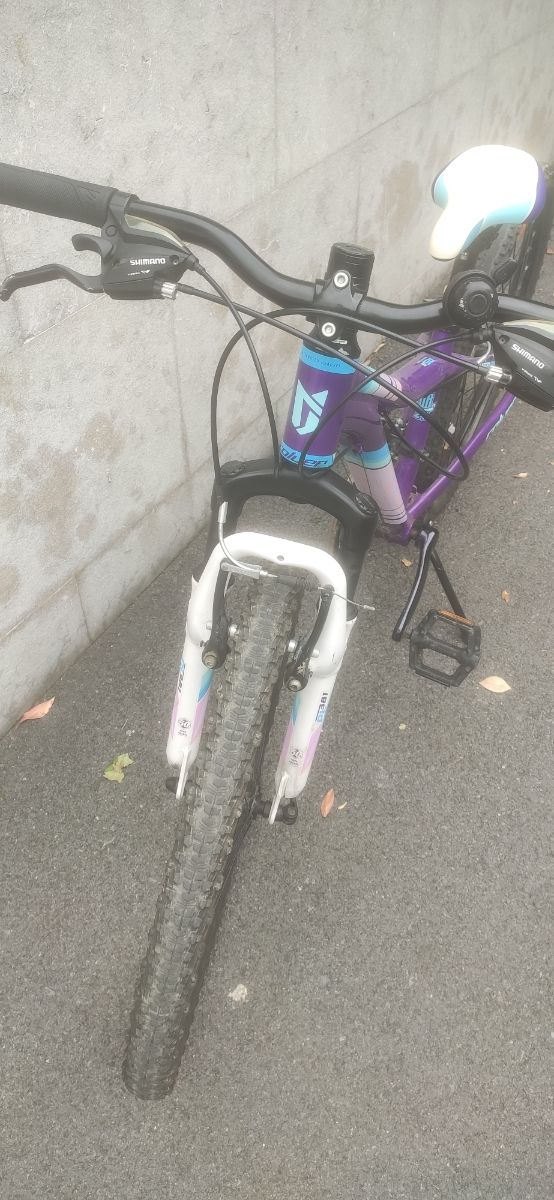 Bicicleta Coluer JR24 24"