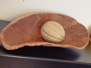 Centrotavola in sughero