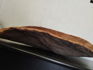 Centrotavola in sughero