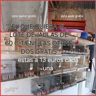 60 Jaulas pajaros + 2 gratis