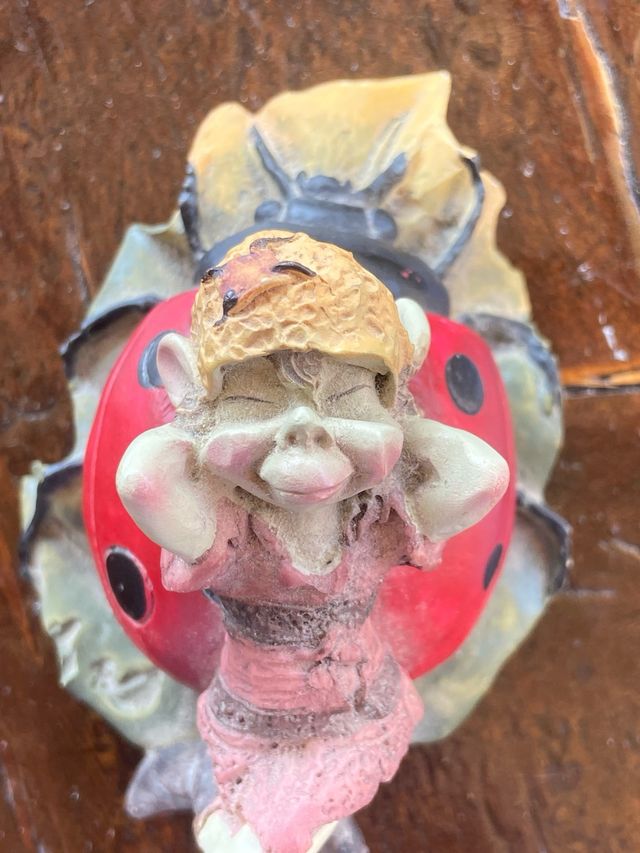 Gnomo elfo su coccinella pixies