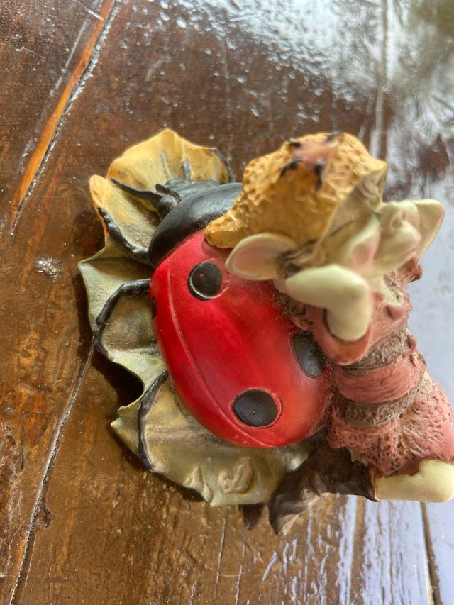 Gnomo elfo su coccinella pixies