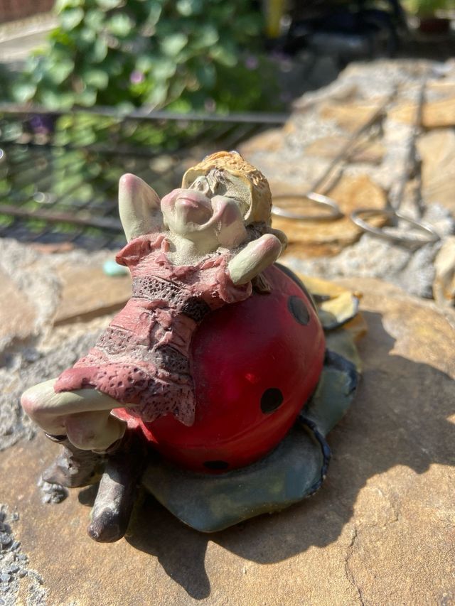 Gnomo elfo su coccinella pixies