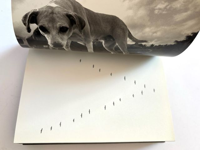 VEINTE DÍAS Fernando F. Maquieira. Fotografía