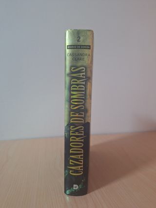 Cazadores de Sombras 2 – Ciudad de Ceniza