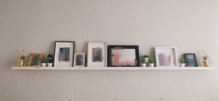 Composición de dos baldas, marcos y plantas